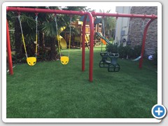 Artificial Grass