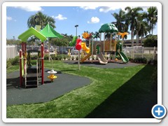 Artificial Grass